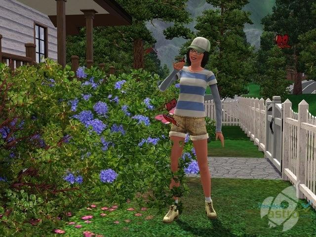 Sims 3 download patch 1.69